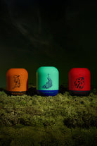 Peacock Elegance - 7