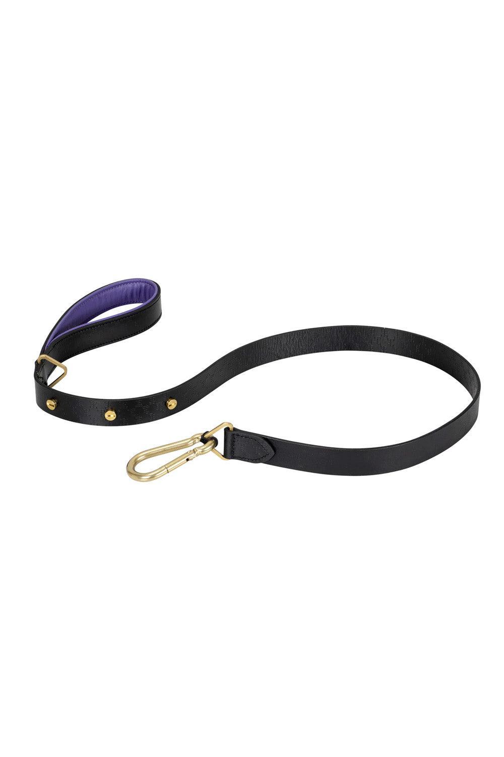 Dog Lead Brass - 2