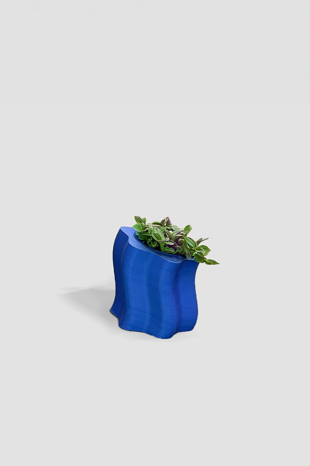 Frosting Saksı - Small - 1