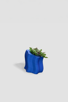 Frosting Saksı - Small - 1