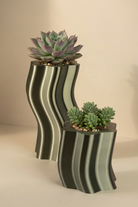 Frosting Saksı - Small - 7