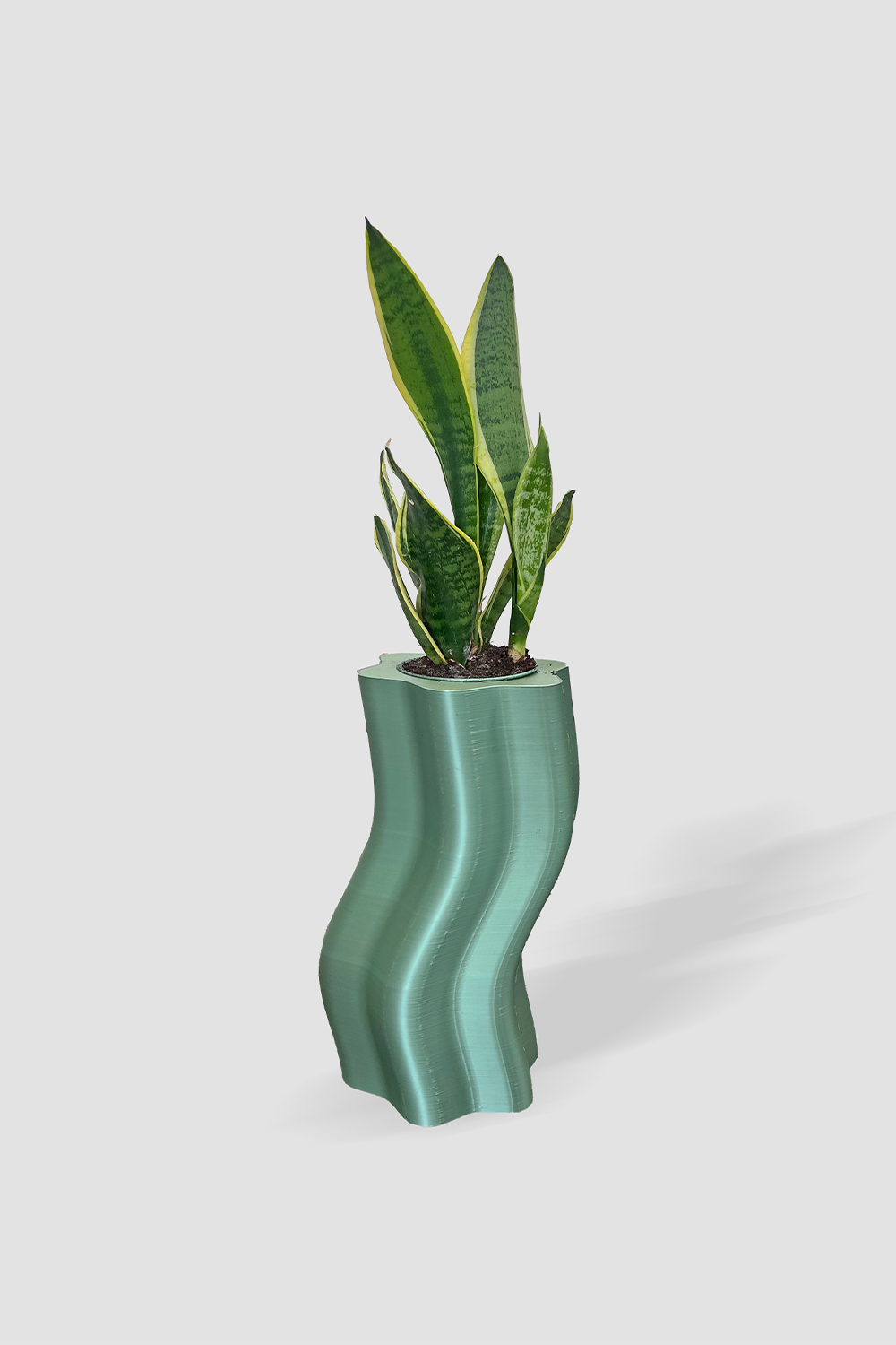 Frosting Saksı - Large - 2