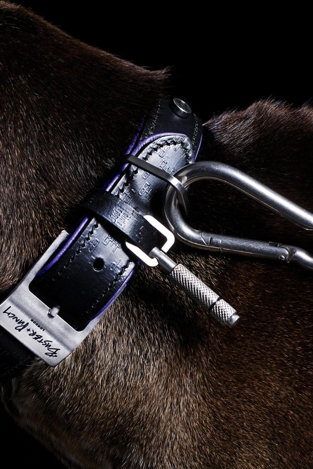 Dog Collar Steel - 0