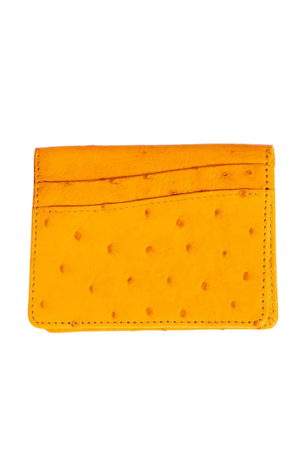 Devekuşu Deri Kartlık No 2 - 4