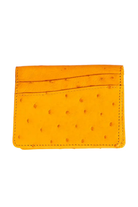 Devekuşu Deri Kartlık No 2 - 4