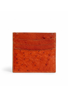 Devekuşu Deri Kartlık No 1 - 2