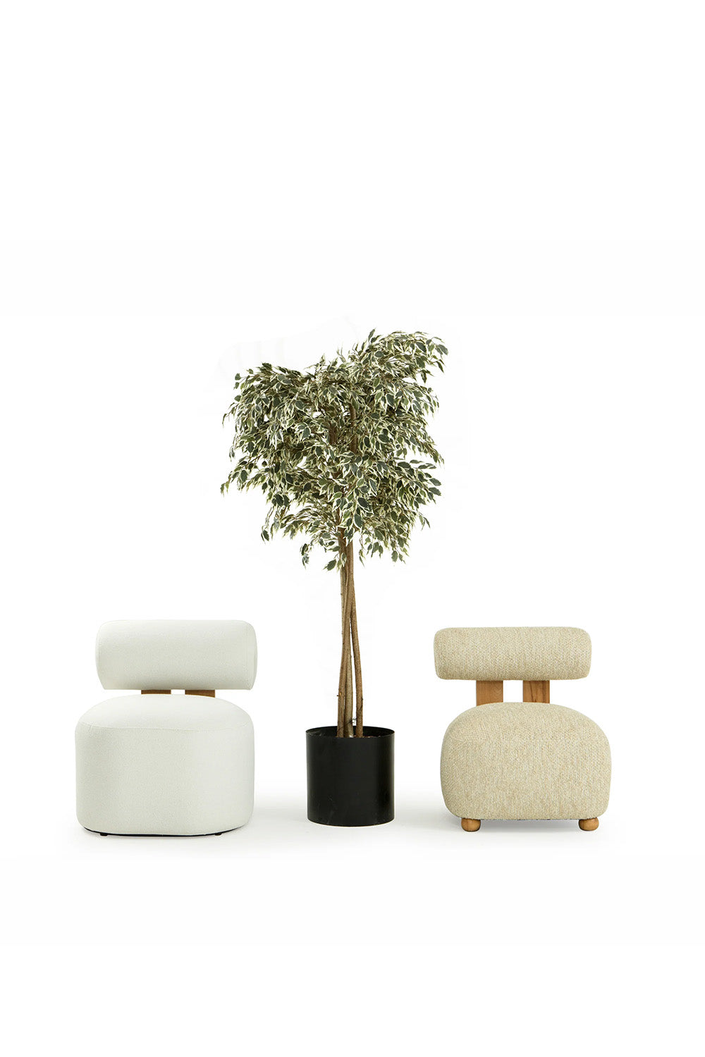 Ball Plus Berjer - 4