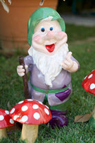 Neşeli Süpürgeli Cüce - 1