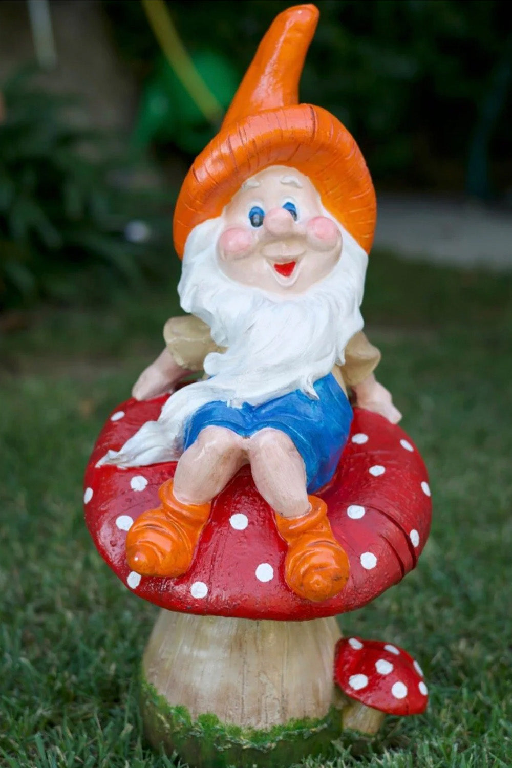 Neşeli Mantarlı Cüce - 0