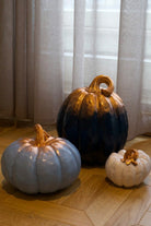 Üçlü Balkabağı Set - 1