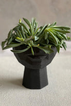 Lip Case Siyah Saksı - 0