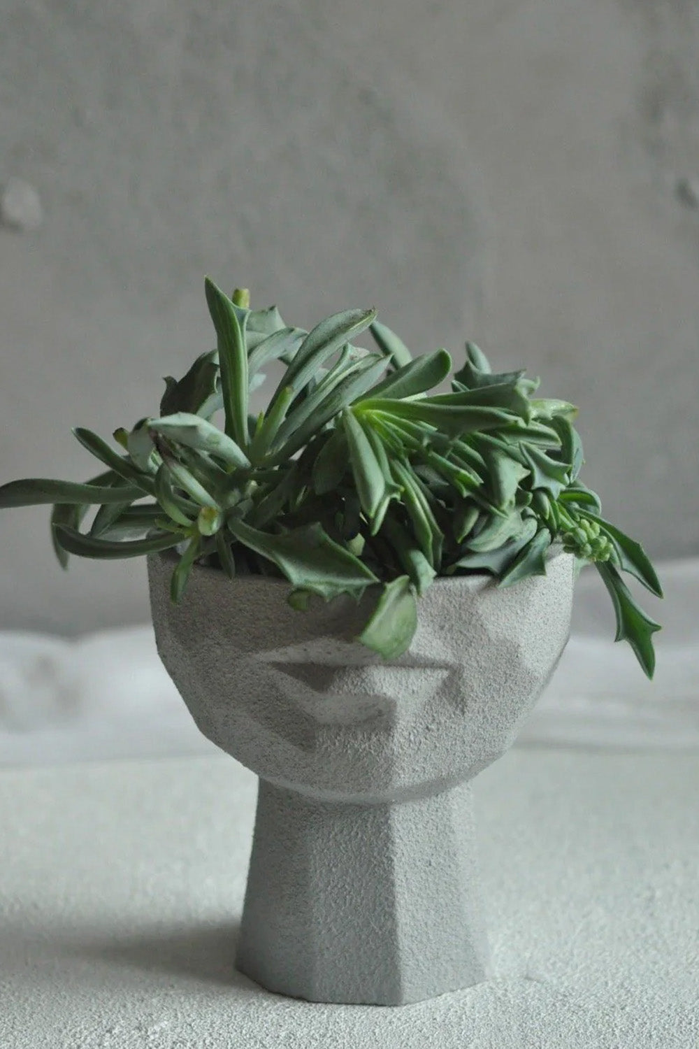 Lip Case Gri Saksı S - 0