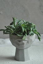 Lip Case Gri Saksı S - 0