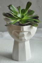 Lip Case Beyaz Saksı M - 0