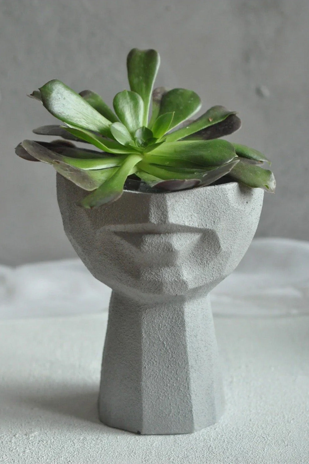 Lip Case Gri Saksı M - 0