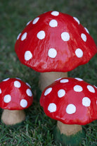 Neşeli Mantarlar - 1