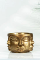 Adler Altın Saksı M - 1