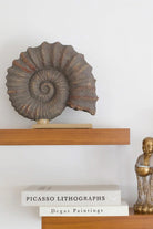 Natilius Taşı Obje - 2