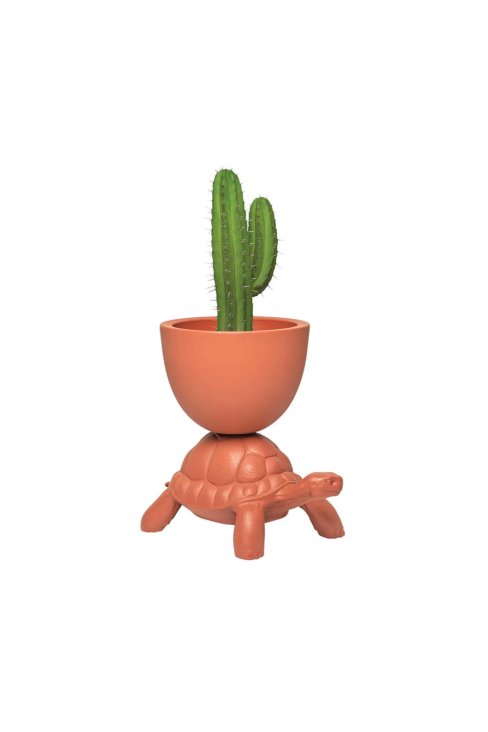 Turtle Carry Terracotta Saksı/şampanya Soğutucu - 0