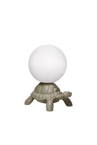 Turtle Carry Gri Aydınlatma - 0
