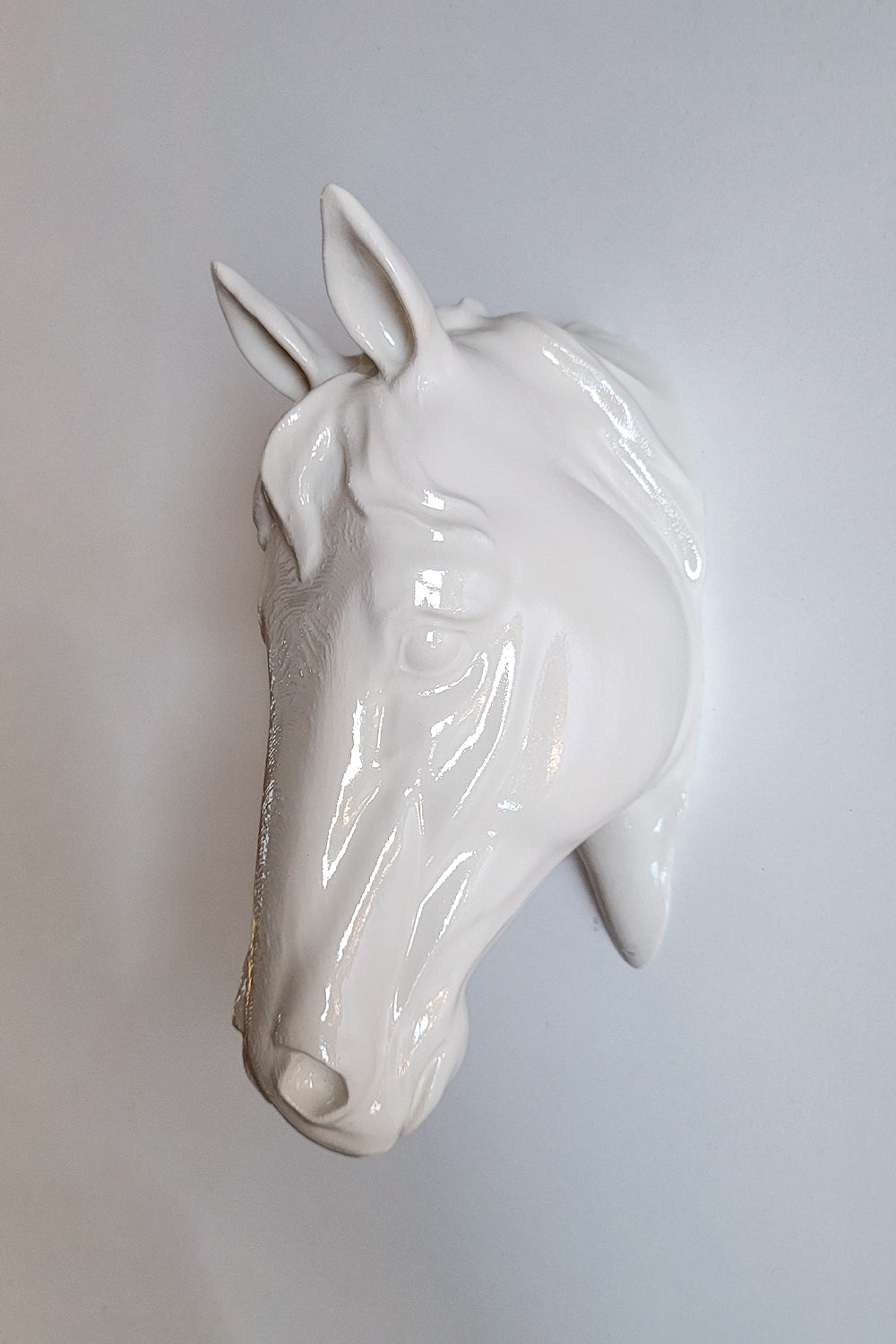 At Kafası Duvar Figürü | Kemik - 3