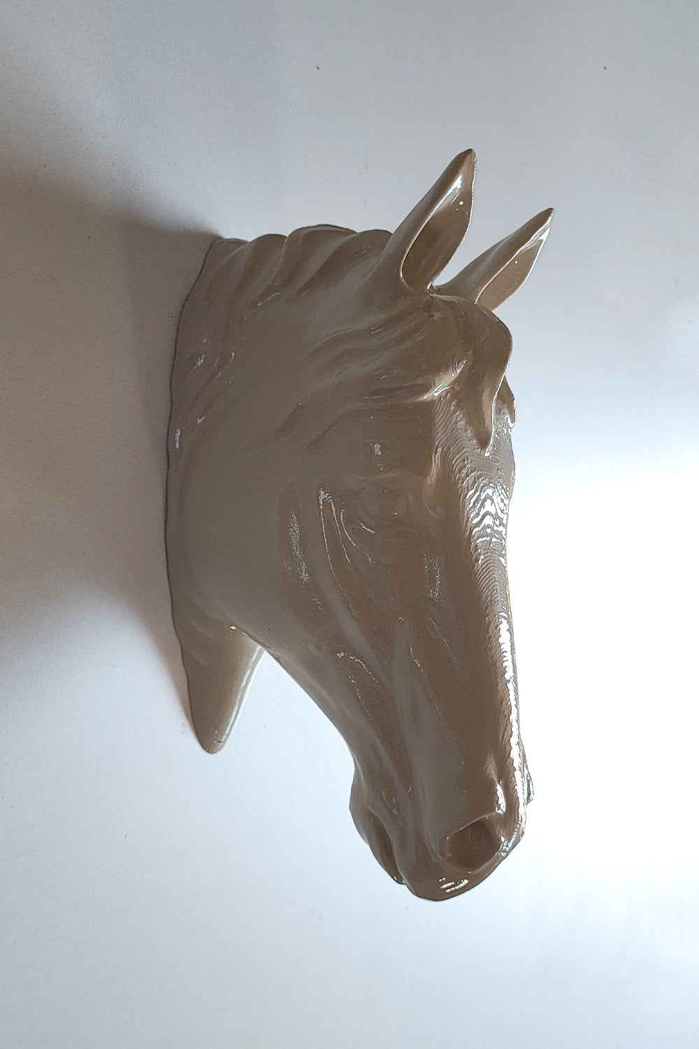 At Kafası Duvar Figürü | Kemik - 4