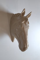 At Kafası Duvar Figürü | Kemik - 5