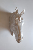 At Kafası Duvar Figürü | İnci - 4