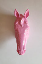 At Kafası Duvar Figürü | Pastel Pembe - 1