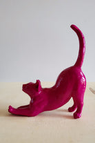 Esneyen Kedi Yüzük Düzenleyici | Fuşya - 4