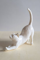 Esneyen Kedi Yüzük Düzenleyici | Beyaz - 4