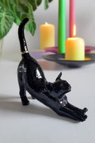 Esneyen Kedi Yüzük Düzenleyici | Siyah - 1