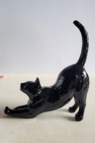 Esneyen Kedi Yüzük Düzenleyici | Siyah - 7