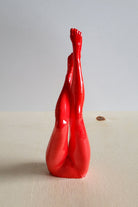 Bacak Yüzük Düzenleyici | Kırmızı - 3