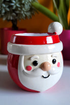 Noel Baba Saksı - 1