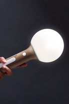 Bolla + Led Lamba - 2