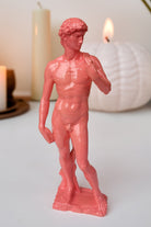 David Heykel | Pembe - 1