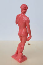 David Heykel | Pembe - 4