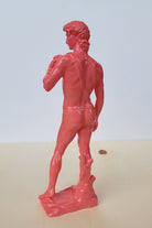 David Heykel | Pembe - 6