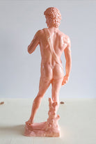 David Heykel | Açık Mercan - 7