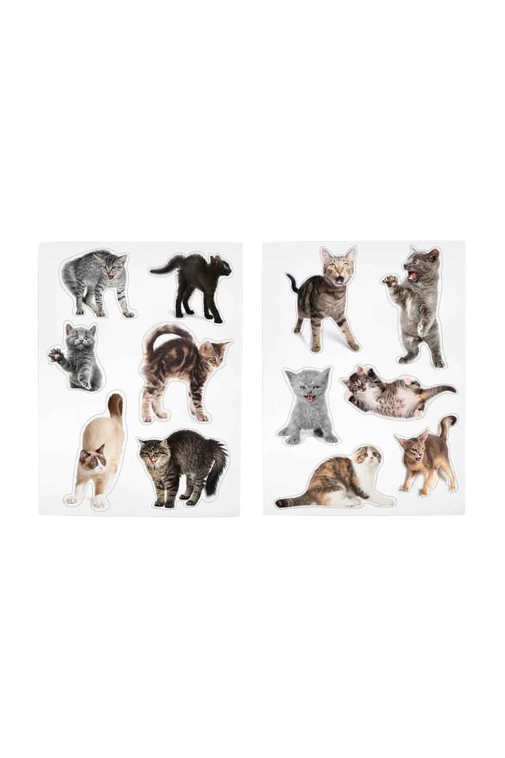 Mustard Sinirli Kediler Magnet - 1