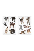 Mustard Sinirli Kediler Magnet - 1