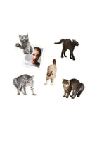 Mustard Sinirli Kediler Magnet - 2