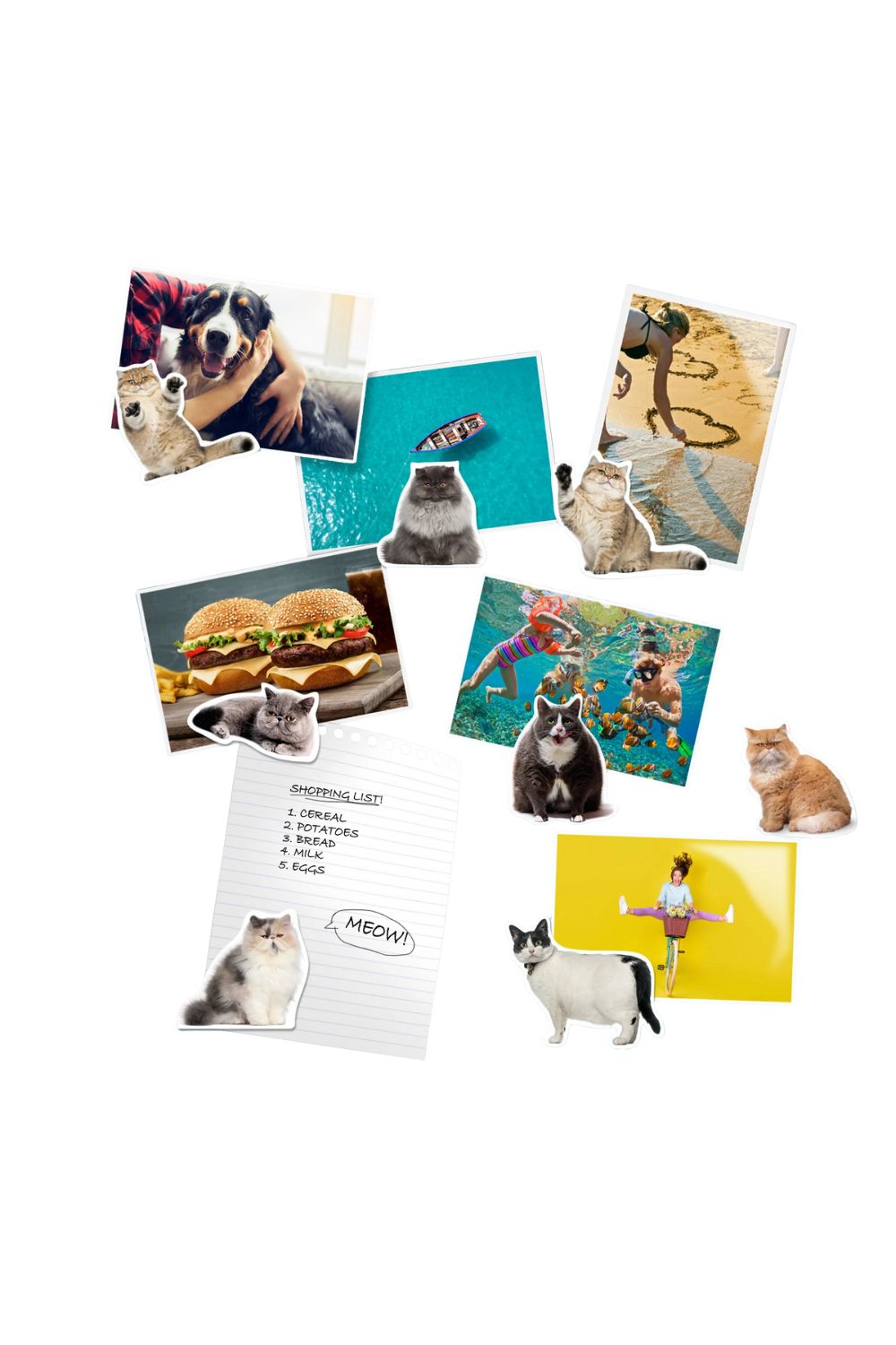 Mustard Cat Magnet - 2