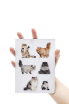 Mustard Cat Magnet - 4