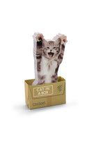 Mustard Cat In A Box - 2