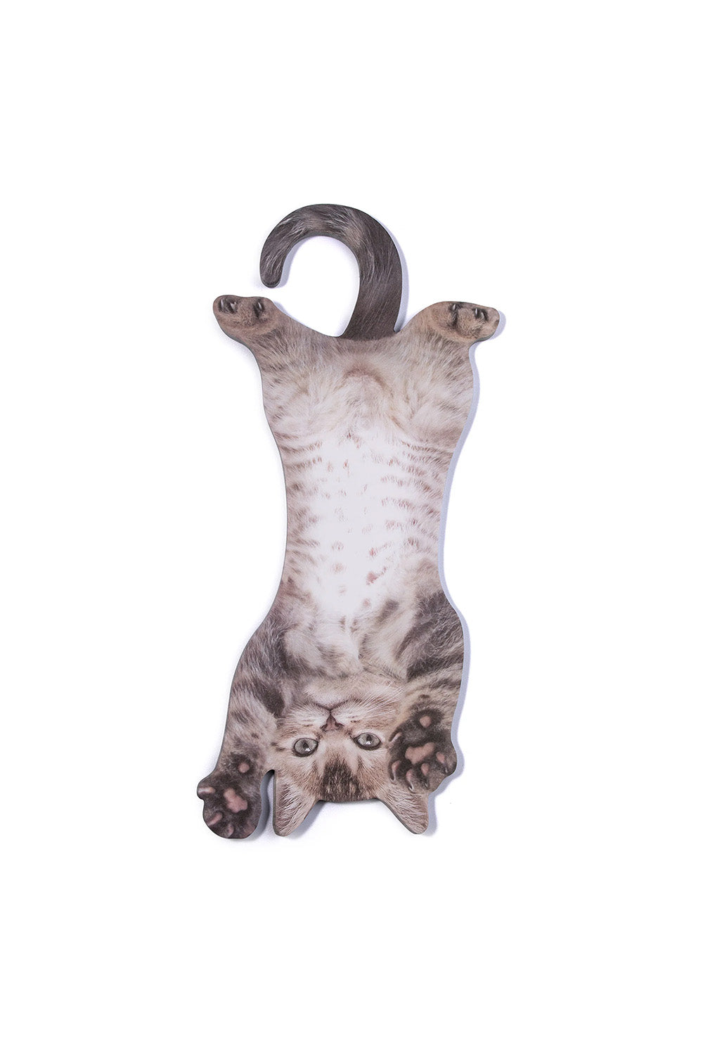 Mustard Cat Asılabilir Notluk - 2