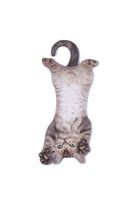 Mustard Cat Asılabilir Notluk - 2