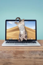 Mustard Cat Asılabilir Notluk - 3