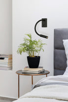 Cio Apli̇k 1l Si̇yah - 1